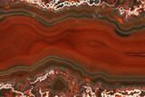 Colorful, Polished Condor Agate Section - Argentina #141397-1